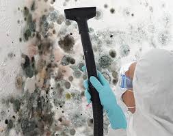 Mold Documentation for Insurance Claims in South Fulton, GA